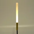 Светильник уличный светодиодный Feron DH2101, 1W, DC24V, низковольтный, 3000K, черный/золотой, 15*15*793