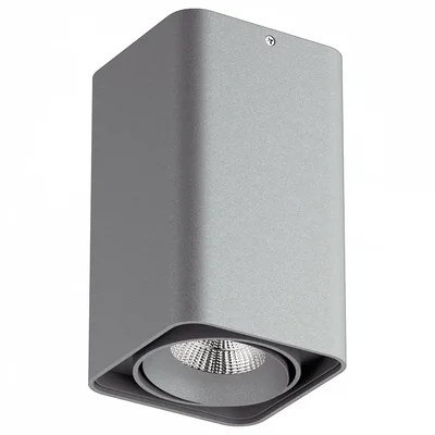 052339-IP65 Светильник MONOCCO LED10W 600LM 30G СЕРЫЙ 3000K (в комплекте)