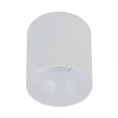 Потолочный светильник Nowodvorski Point Tone 8222