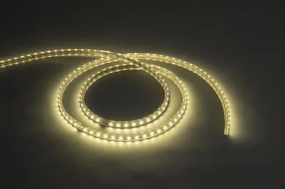 Дюралайт LT-FCB-5050-2W-240V-WW