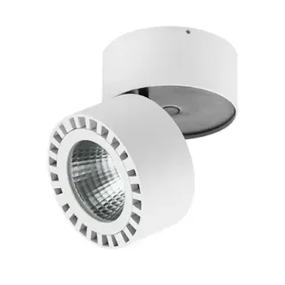 Светильник накладной заливающего света со встроенными светодиодами Forte 381363