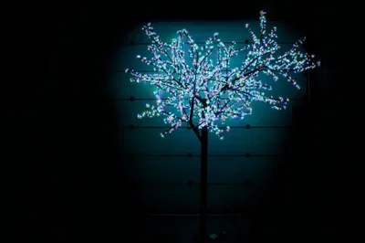 CBL-3.6-2688 RGB LED вишня H:3,6m D3,0м мульти