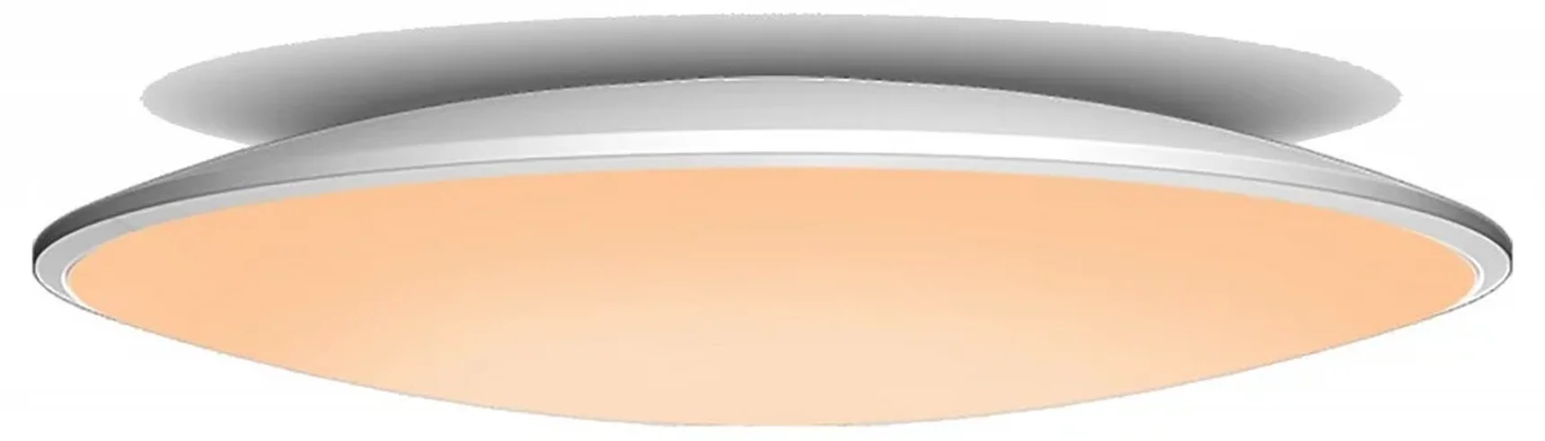 Потолочный светильник SLIM 7975