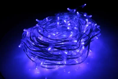 LED-LP-200-30M-12V-B-F(B), Светодиод. клип-лайт, 30М Flash