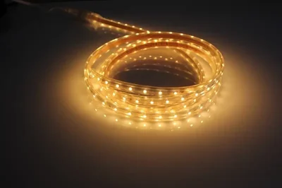 Дюралайт LT-2W-3528-60L-100M-240V-WW белый теплый, 6*9мм