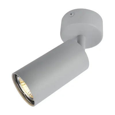 Светильник Arte Lamp AQUARIUS A3216PL-1GY