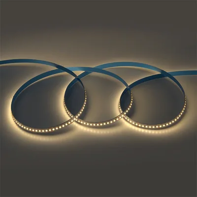 Лента светодиодная Premium General GLS-2216-180-16-24-IP20-PRM-3, 502643, теплый белый