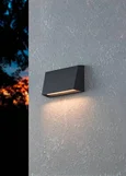 900887 Уличное бра SPONGANO, 1X9,5W (LED), 3000K, 4000K, 5000K, 6500K, 1100lm, IP65, H120, алюминий,
