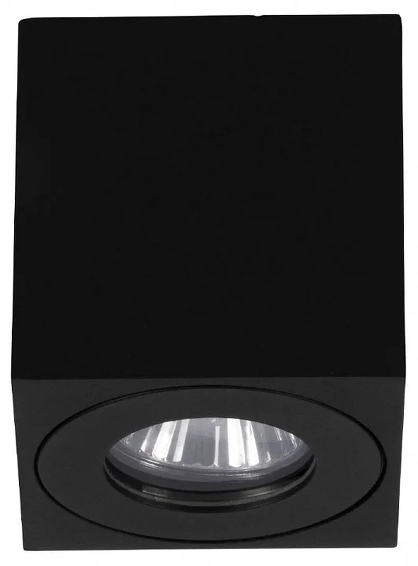 901029 Уличный потолочный светильник TORRECOLA, 1X35W (GU10), IP44, H85