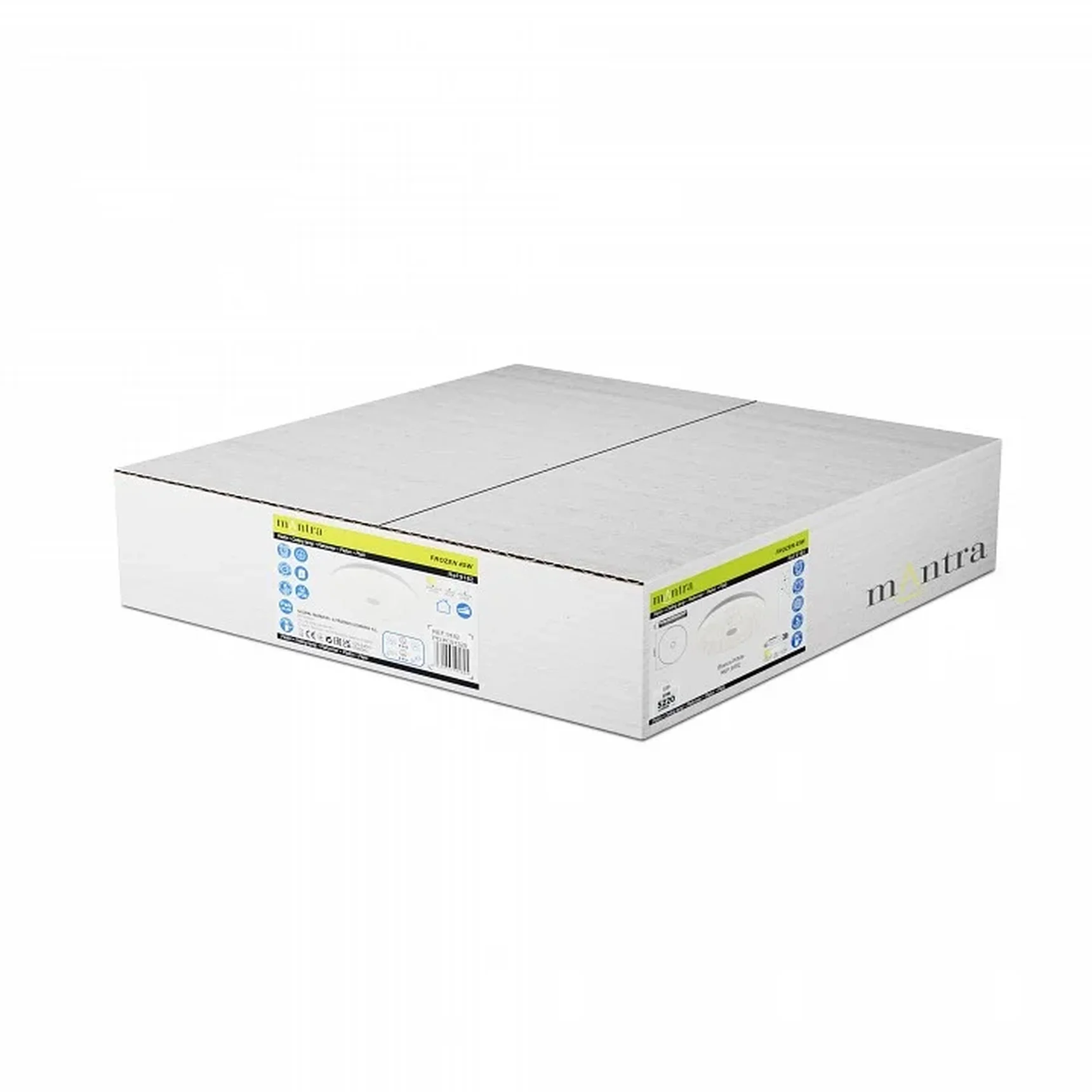 9182 Потолочный светильник FROZEN