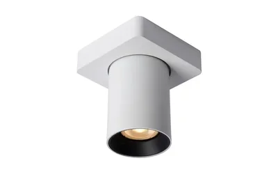 Спот Lucide Nigel 09929/05/31