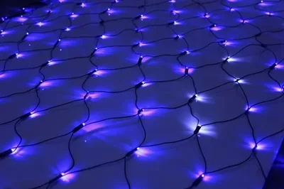 LED-SNL-432-2*3M-240V-B/BL-F(CW) Синий/белый ФЛЭШ на чернoм проводе, соединяемая