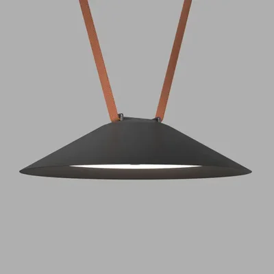 Трековый светильник BELTY FLOW DK5564-BK