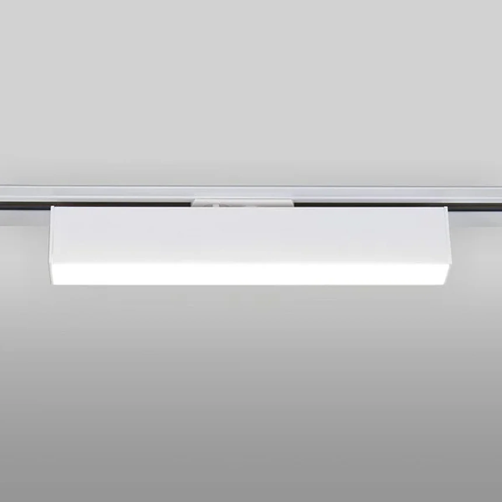 Трековый светодиодный светильник для однофазного шинопровода X-Line 10W 4200K белый матовый X-Line белый матовый 10W 4200K (LTB53) однофаз