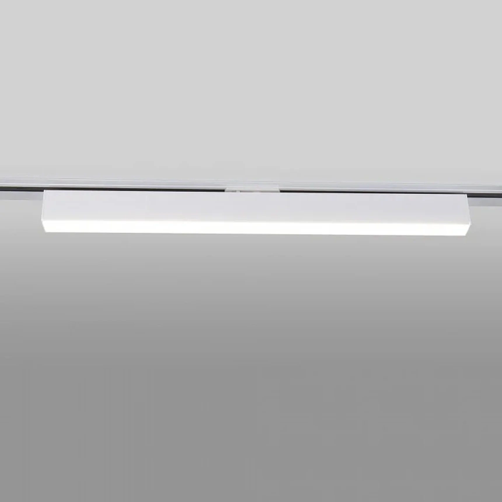 Трековый светодиодный светильник для однофазного шинопровода X-Line 20W 4200K белый матовый X-Line белый матовый 20W 4200K (LTB54) однофаз