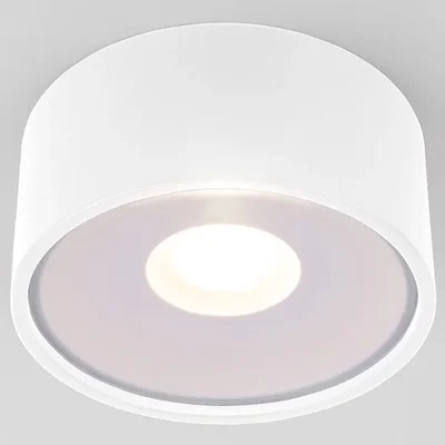 Накладной светодиодный влагозащищенный светильник IP65 35141/H белый