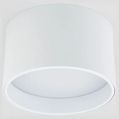 Накладной светодиодный светильник белый 25123/LED Banti 13Вт 4200K