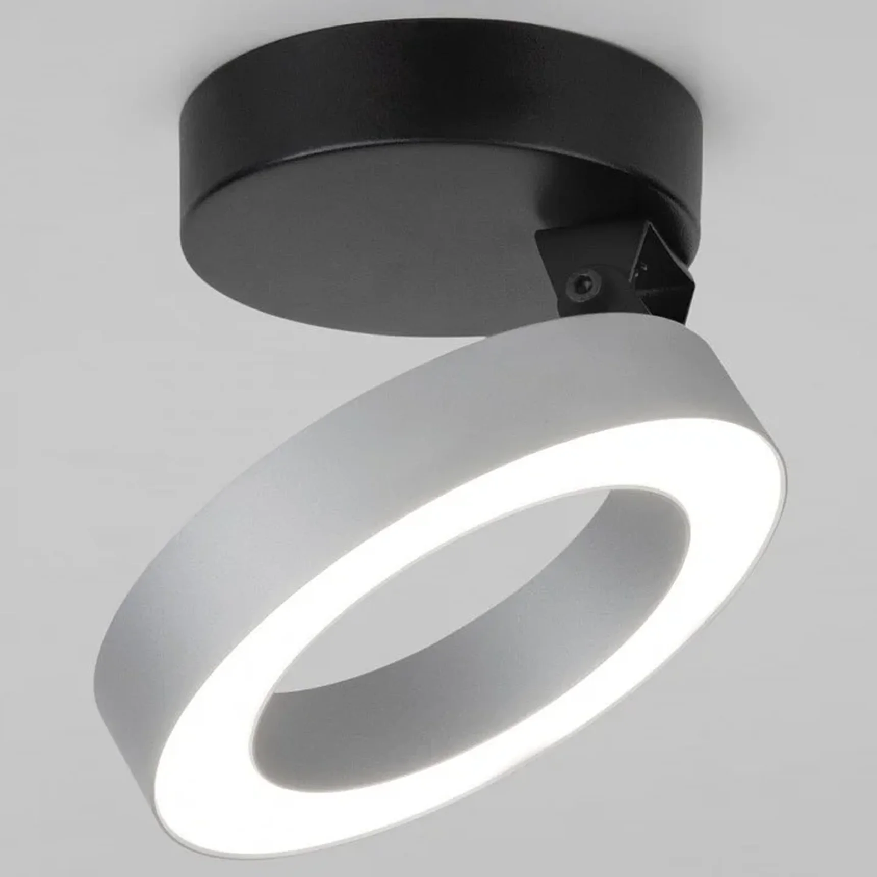 Накладной светодиодный светильник Spila серебро 12W 4200К 25105/LED