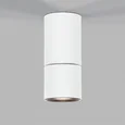 Светильник потолочный светодиодный 25042/LED 10W 4000K белый 25042/LED