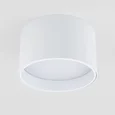 Banti 13W 3000K белый (25123/LED / Светильник потолочный светодиодный 25123/LED