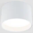 Banti 13W 3000K белый (25123/LED / Светильник потолочный светодиодный 25123/LED