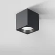 Светильник потолочный светодиодный Matrix 9W 4000К черный 25051/LED