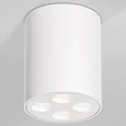 Светильник потолочный светодиодный Points 7W 4000K белый 25111/LED