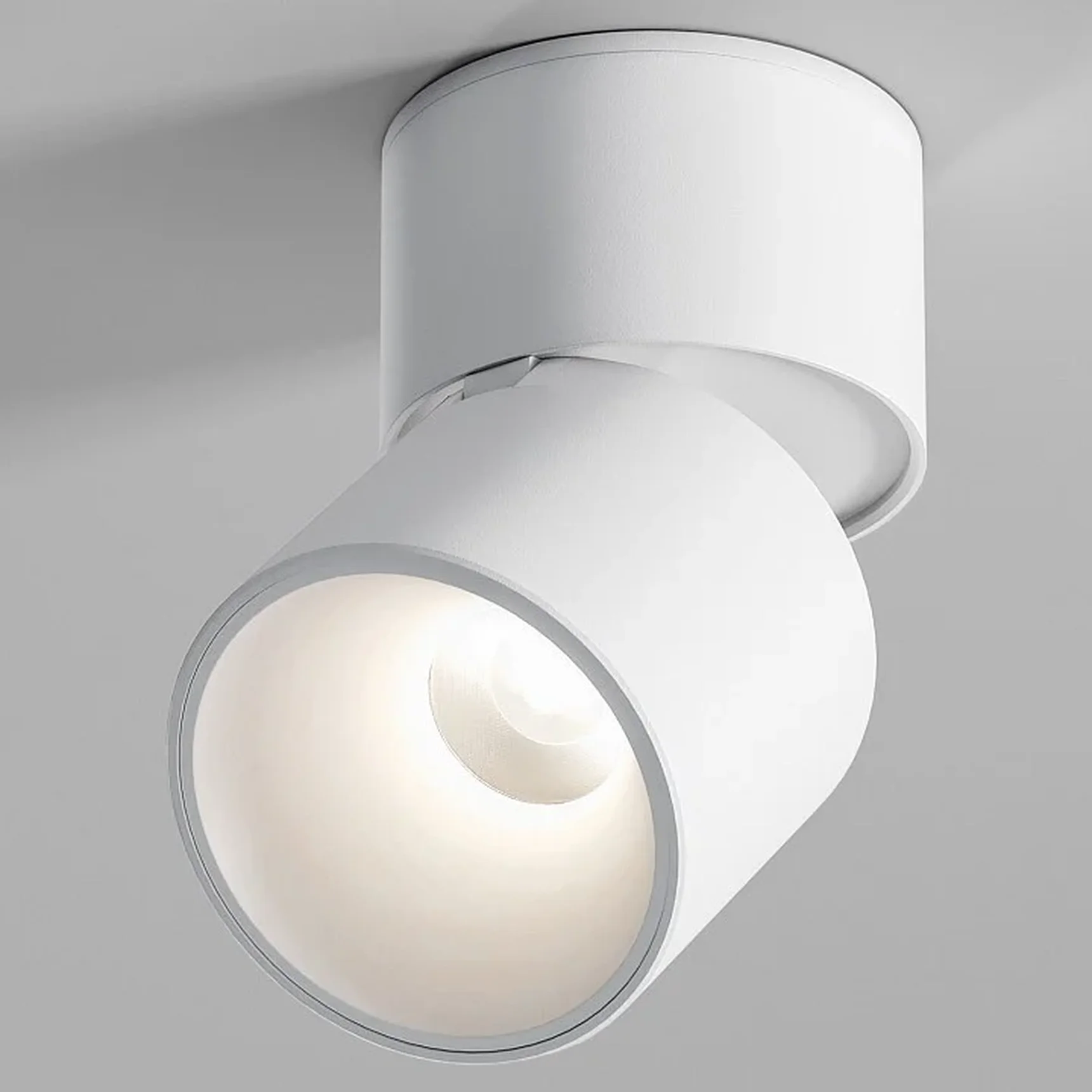 Светильник потолочный светодиодный Rolly 9W 4000K белый 25112/LED