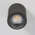 Светильник потолочный светодиодный Primo 12W 4000K титан 25116/LED