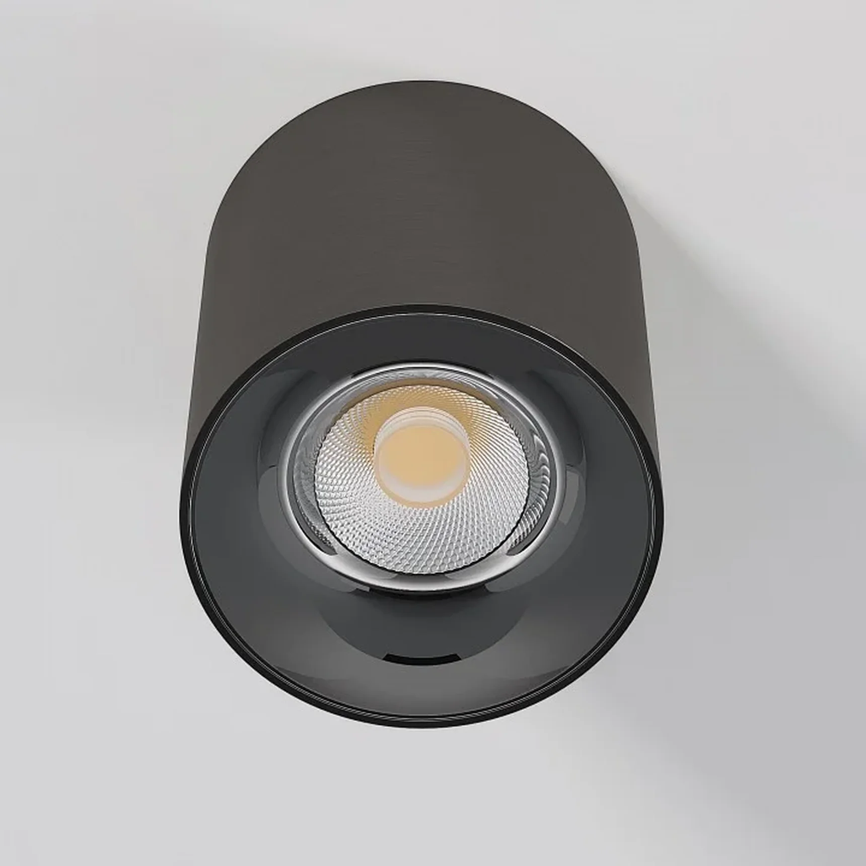 Светильник потолочный светодиодный Primo 12W 4000K титан 25116/LED