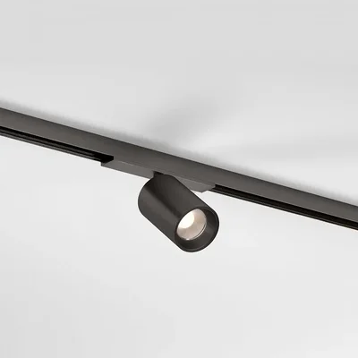 Titan Line Трековый поворотный светильник 10W 3000K титан 85525/01