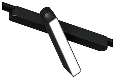 Светильник потолочный RAPID ARTE LAMP A1160PL-1BK