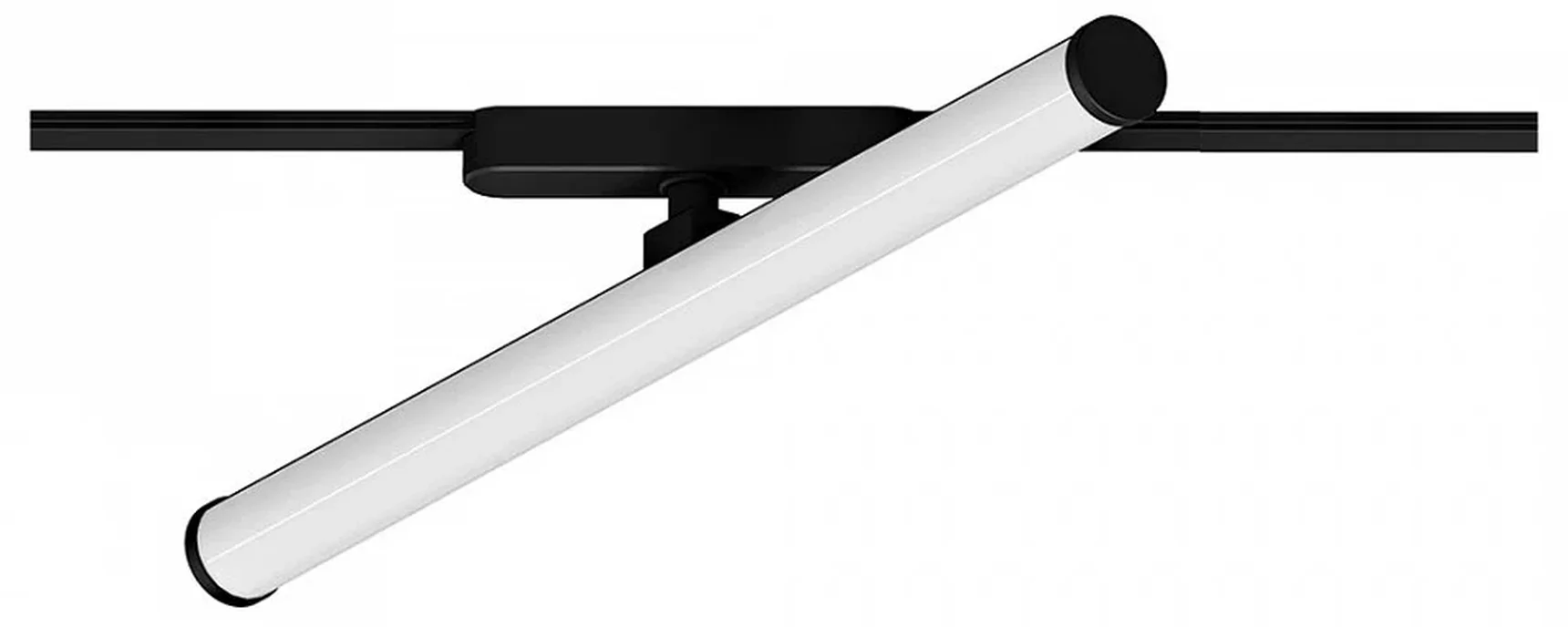 Светильник потолочный RAPID ARTE LAMP A1165PL-1BK