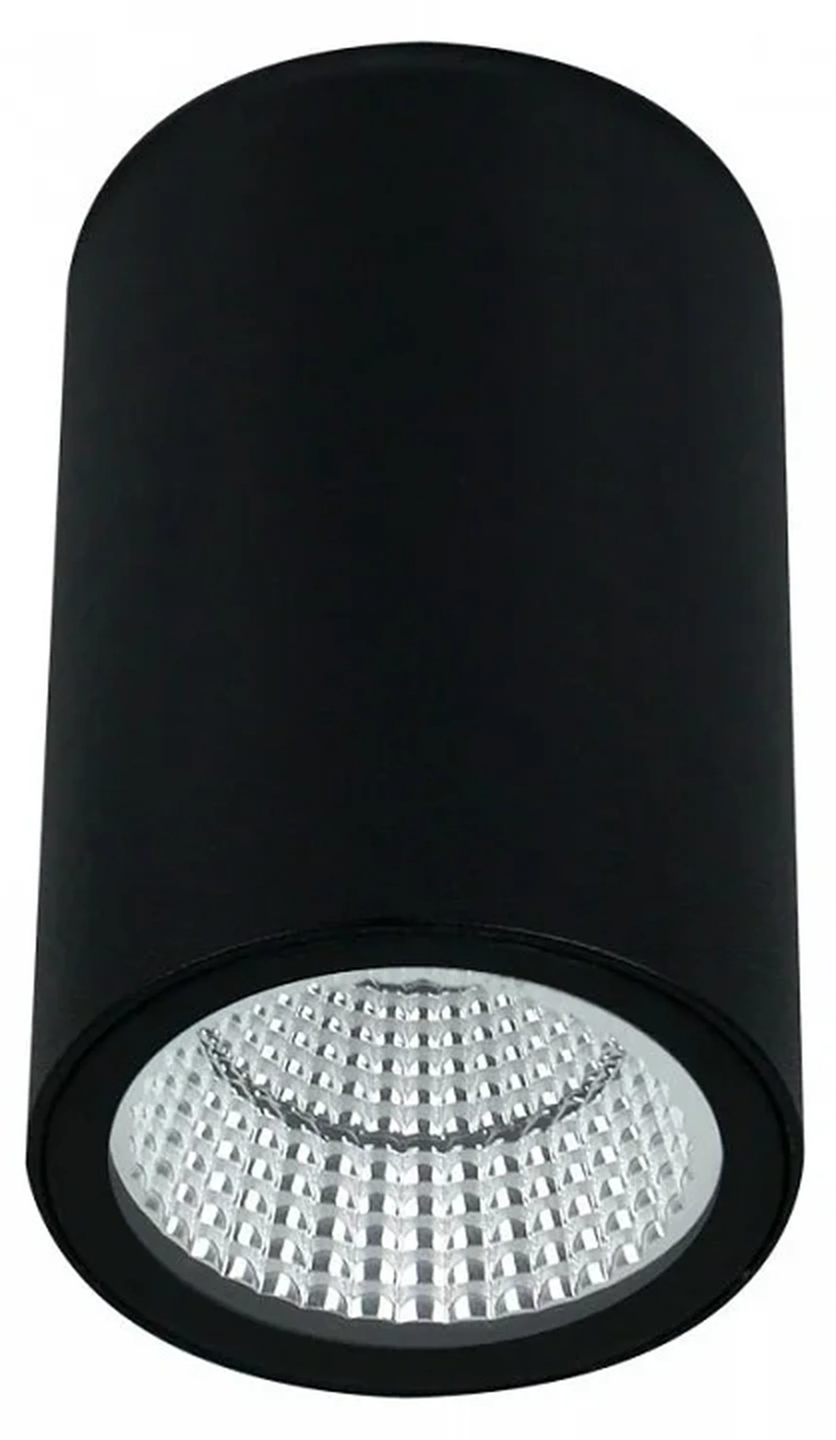 Уличный потолочный светильник Arte Lamp TORCULAR A1307PF-1BK