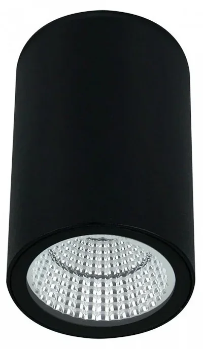 Уличный потолочный светильник Arte Lamp TORCULAR A1307PF-1BK