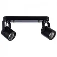 Светильник потолочный ARTE LAMP A1311PL-2BK