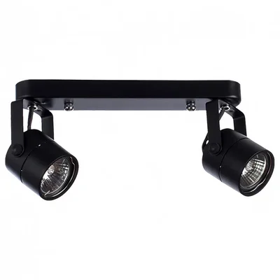 Светильник потолочный ARTE LAMP A1311PL-2BK