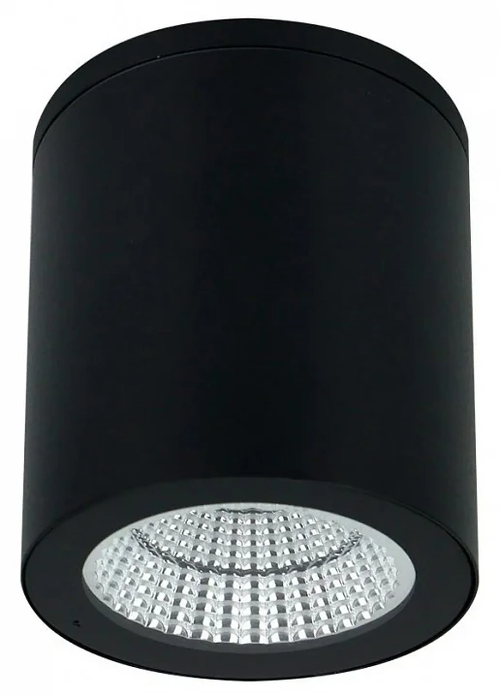 Уличный потолочный светильник Arte Lamp TORCULAR A1313PF-1BK