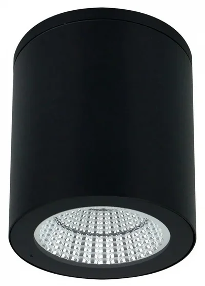 Уличный потолочный светильник Arte Lamp TORCULAR A1313PF-1BK