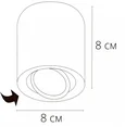 Светильник потолочный ARTE LAMP A1513PL-1BK