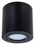 Светильник потолочный ARTE LAMP A1513PL-1BK