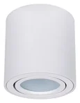 Светильник потолочный ARTE LAMP A1513PL-1WH