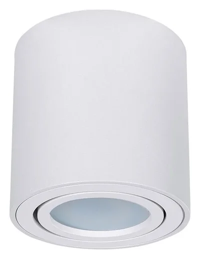Светильник потолочный ARTE LAMP A1513PL-1WH