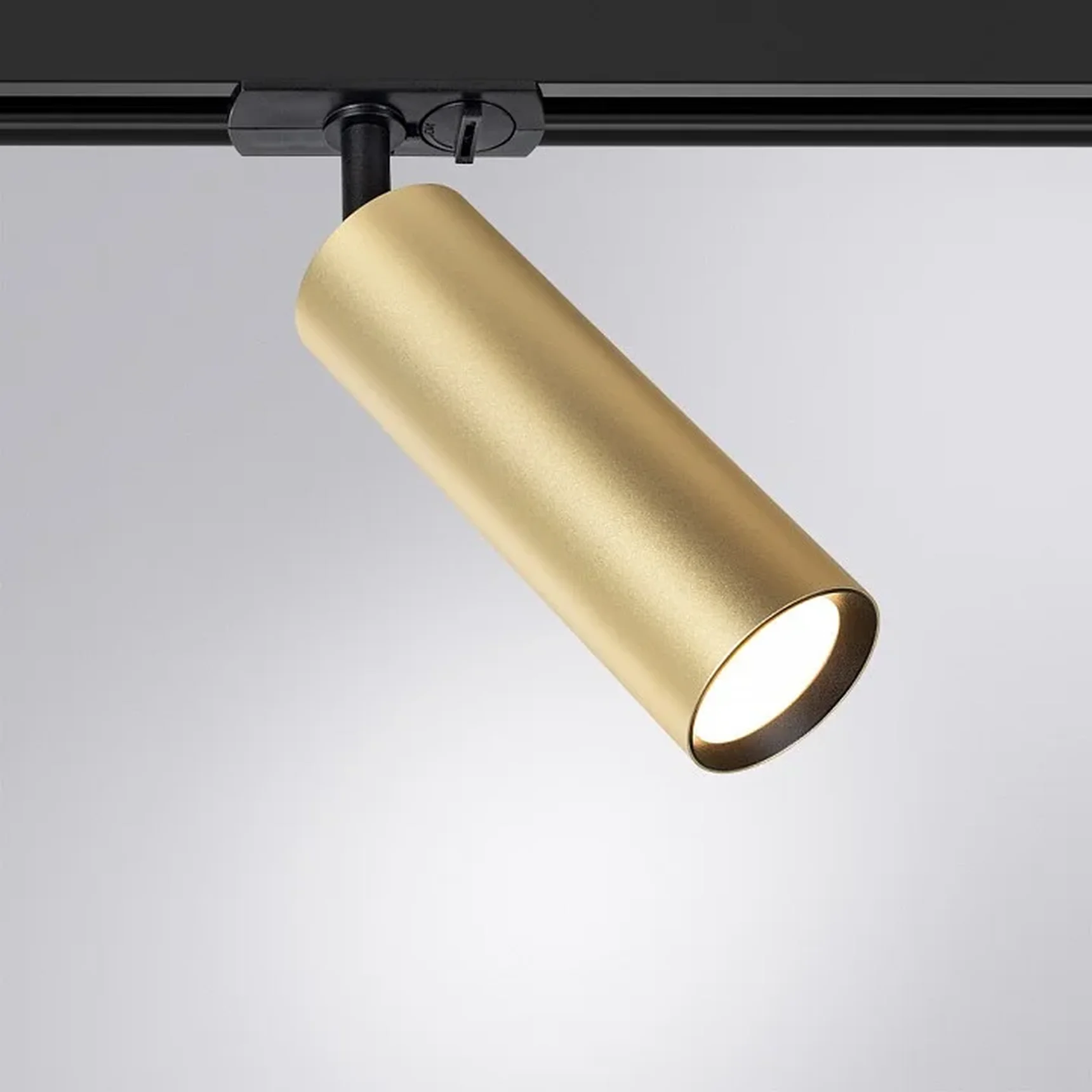 Светильник потолочный ARTE LAMP A1515PL-1SG