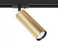 Светильник потолочный ARTE LAMP A1515PL-1SG
