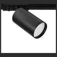 Светильник потолочный ARTE LAMP A1519PL-1BK