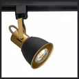 Светильник потолочный ARTE LAMP A1677PL-1GO