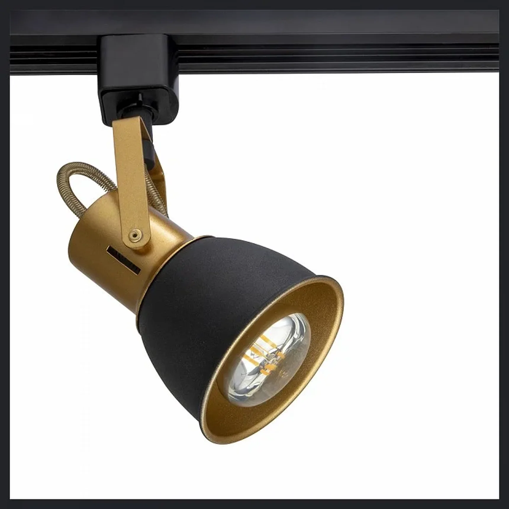 Светильник потолочный ARTE LAMP A1677PL-1GO