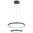 Светильник подвесной ARTE LAMP A2197SP-2BK