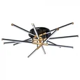 Светильник потолочный ARTE LAMP A2199PL-6BK